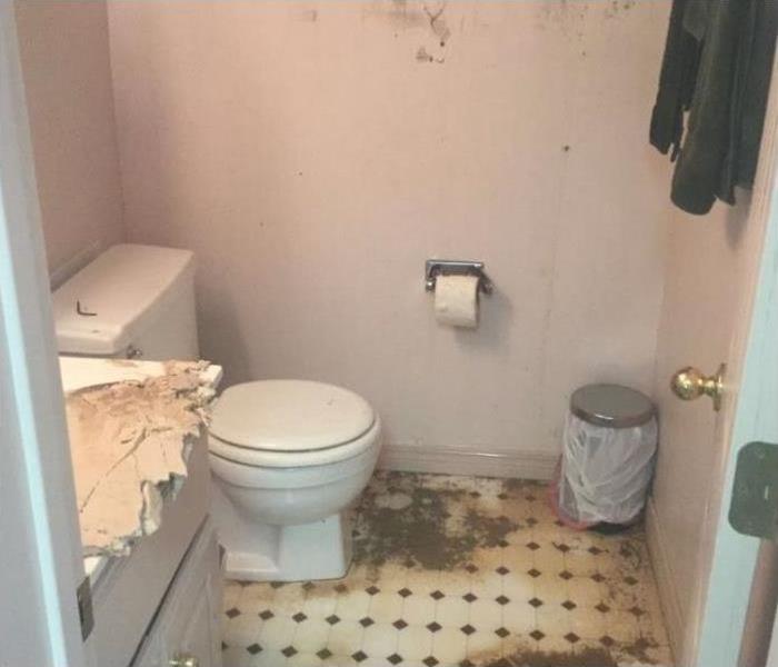 Mud and Water Damaged Bathroom