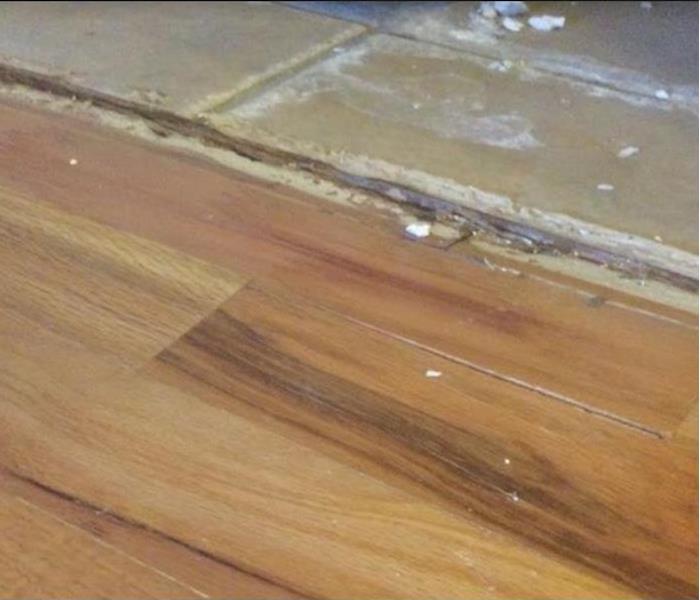 mold damage in flooring