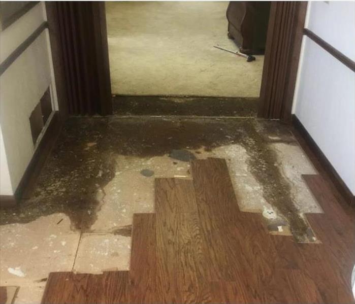 Bedroom Floor Restoration After Water Damage
