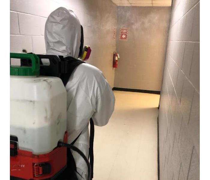 Satisfying customers with exceptional disinfection services